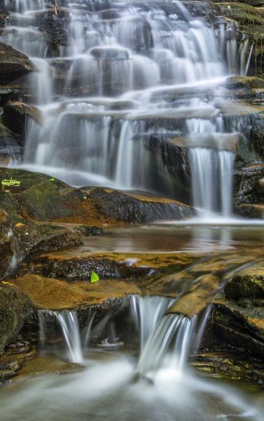Pennsylvania Waterfall in Ricketts Glen SP